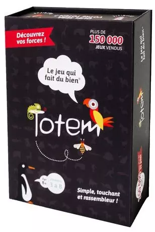 animation jeu à destination des jeunes, TOTEM